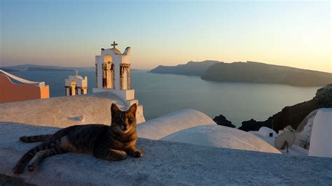 chat greek.